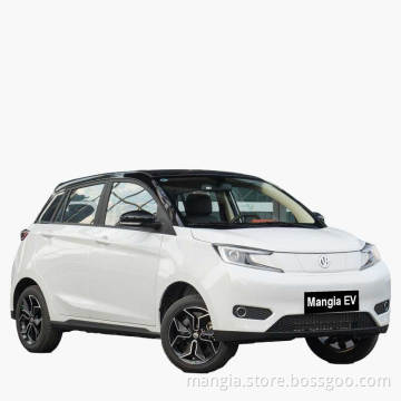 Adults driving mini electric car at high speed 408KM YOUNGGUANGXIAOXIN rechargeable Chinese electric car with high quality